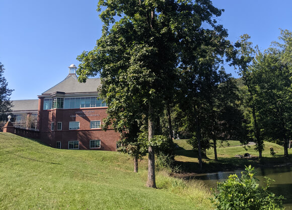 A shagbark hickory tree next to a pond on the Quinnipiac Mount Carmel quad