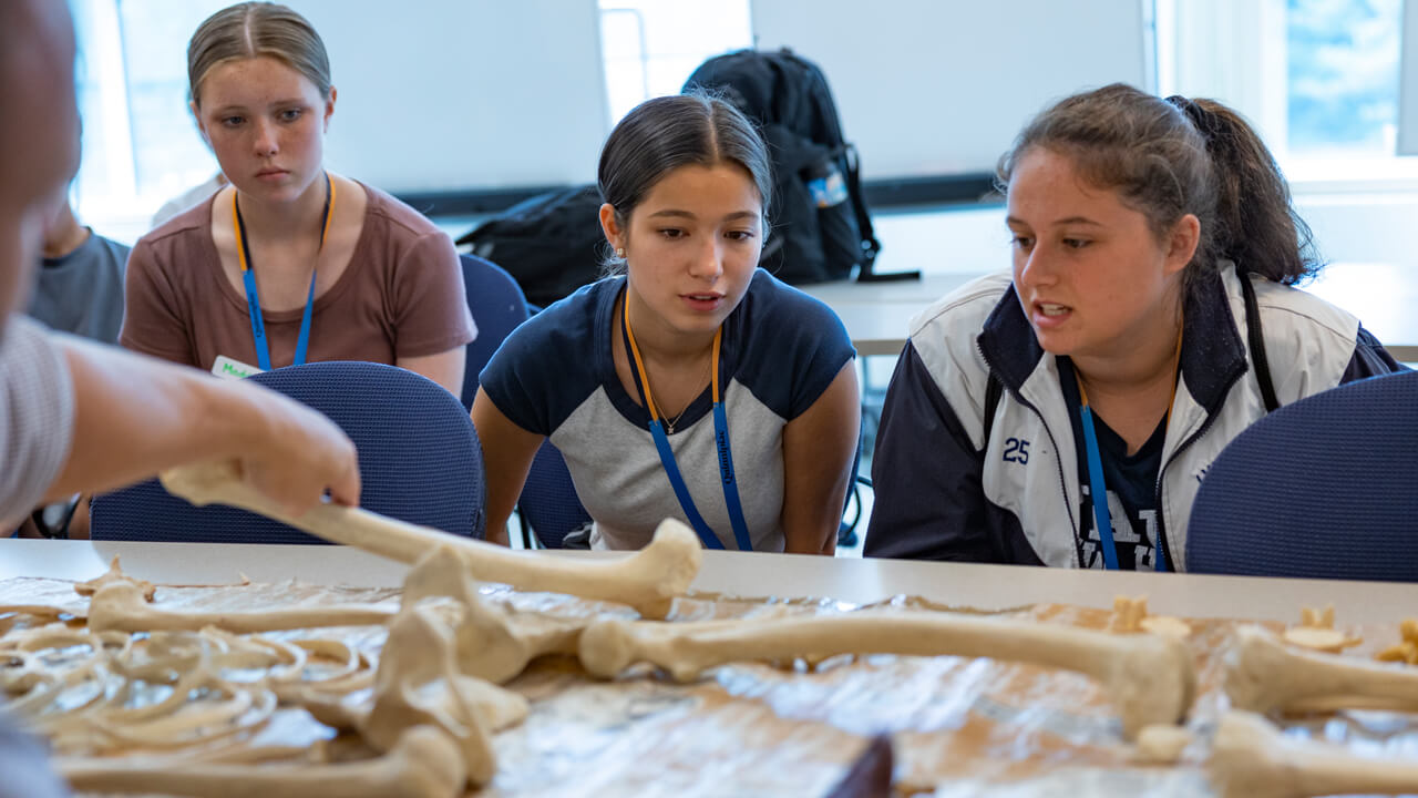 Two high school students closely inspect bone models lined up on a table